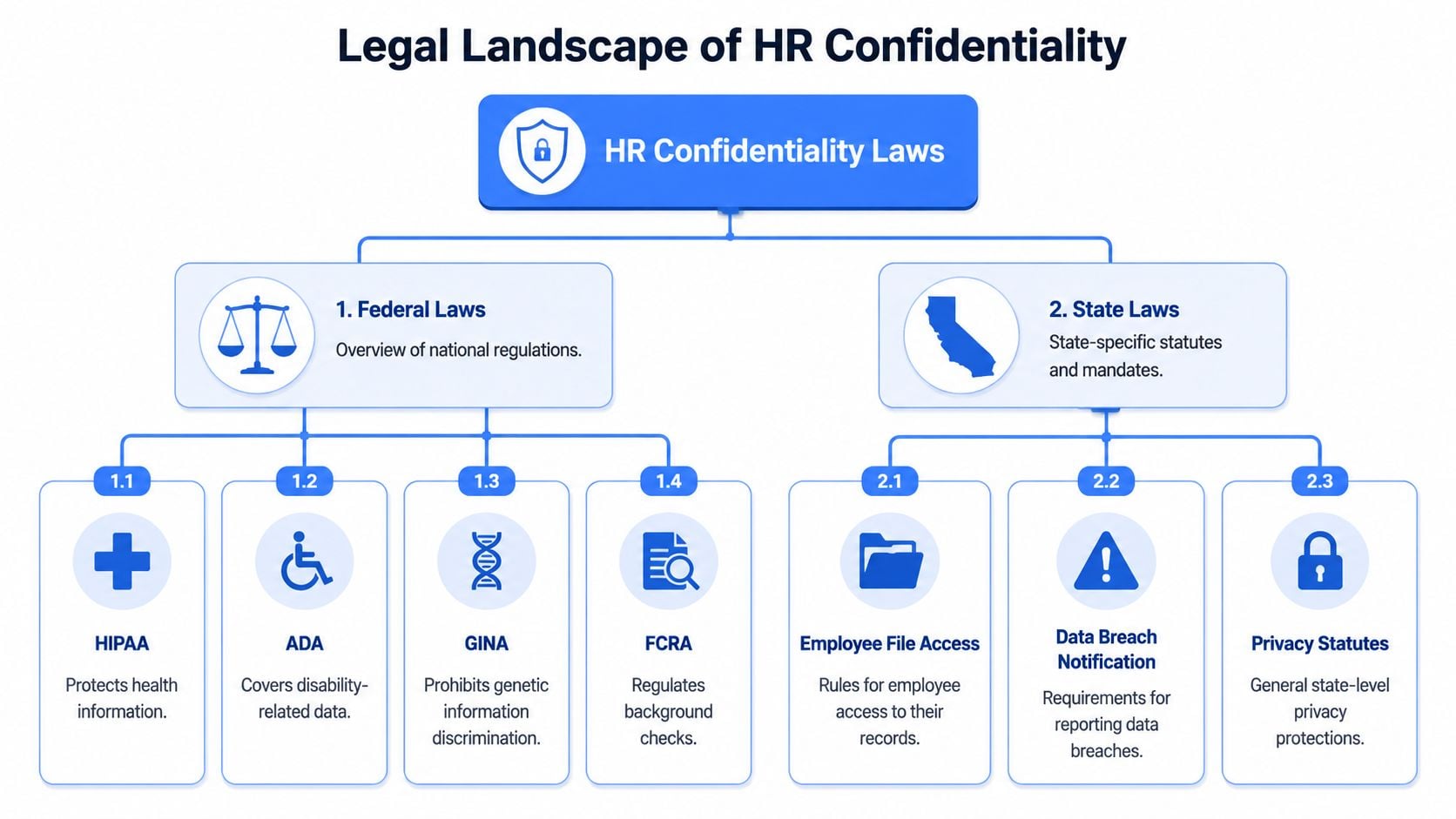 An infographic illustrating the legal landscape of HR confidentiality laws including federal and state regulations.